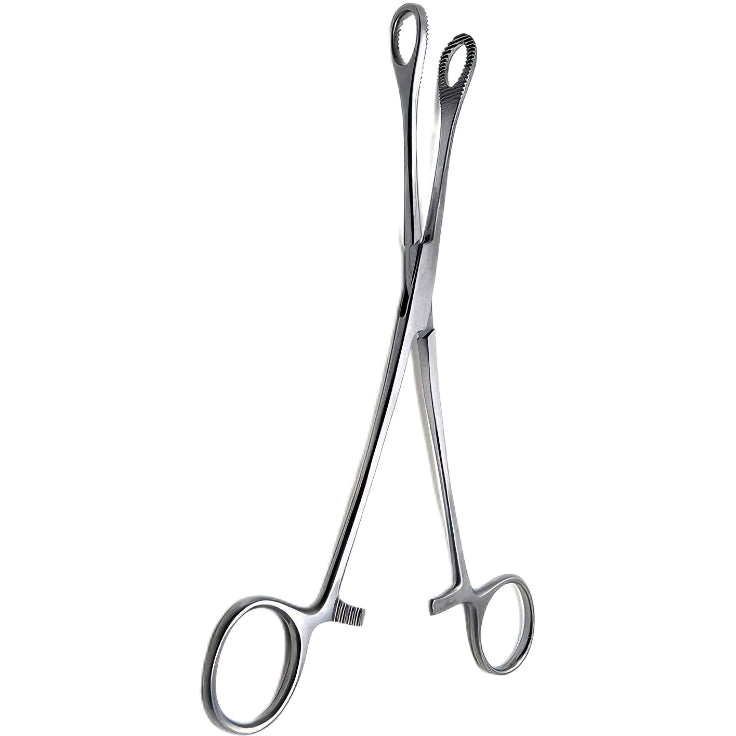 Sponge Forceps