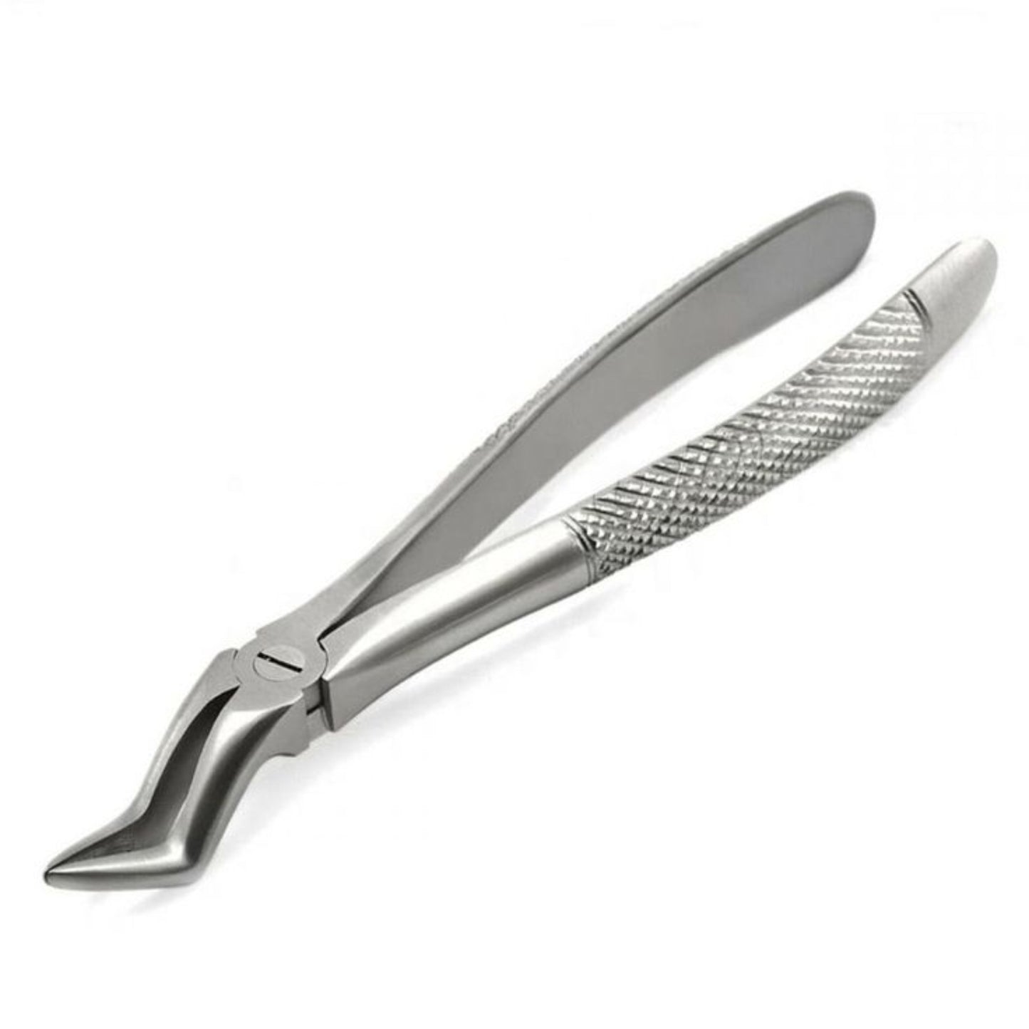 Extraction Forcep